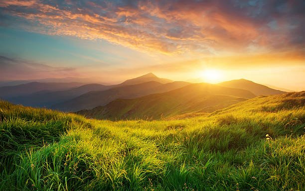 Ooty Kodaikanal Tour Packages from Coimbatore