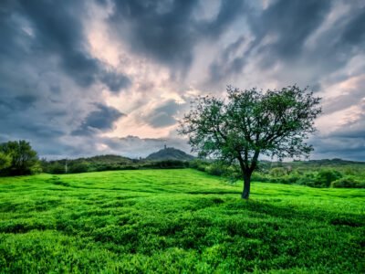 Ooty Group Tour packages from Bangalore